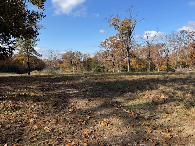 Bank Owned Properties - Holiday Island2